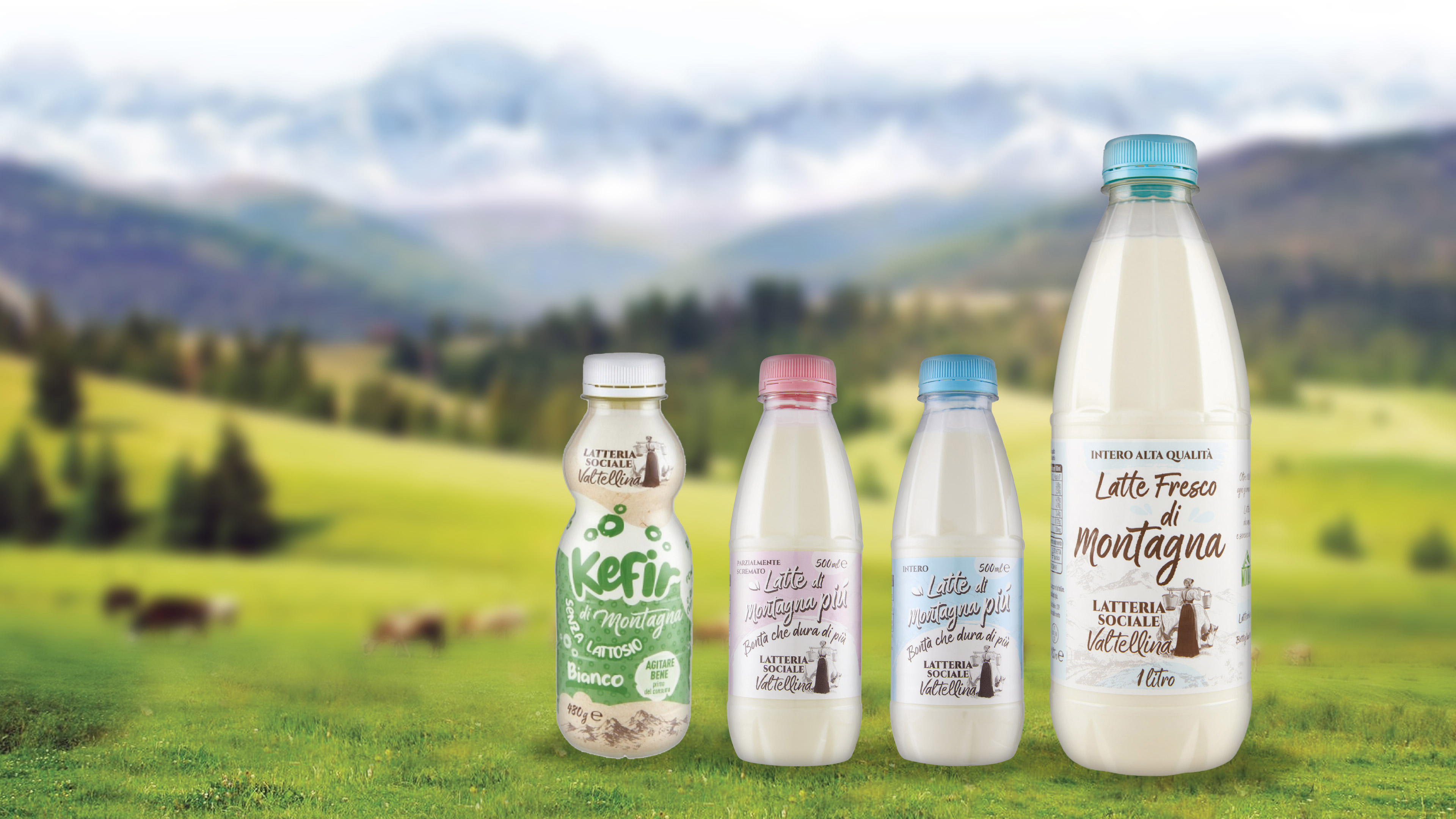 Latteria Sociale Valtellina chooses PET for milk packaging
